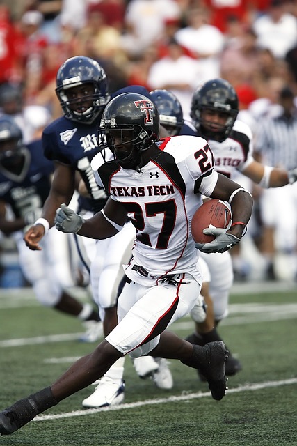 的成熟与老 的成熟与老